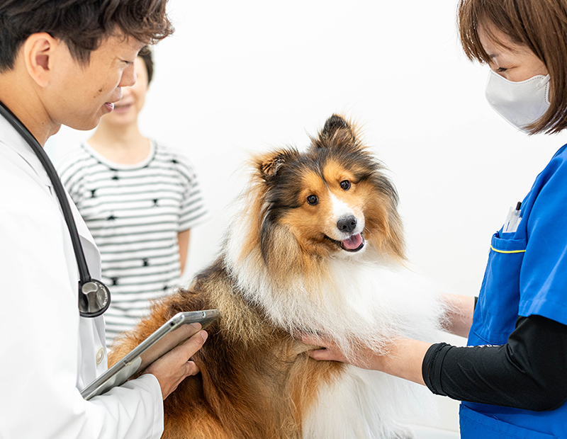 かかりつけ医としてペットの一生に寄り添うパートナークリニック