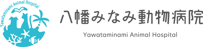 八幡みなみ動物病院