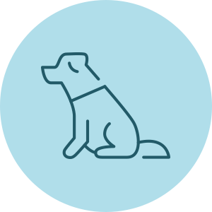 犬の診療