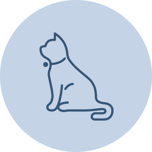 猫の診療