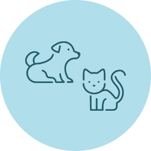 子猫子犬の診療