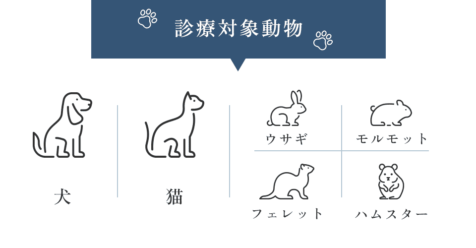 診療対象動物