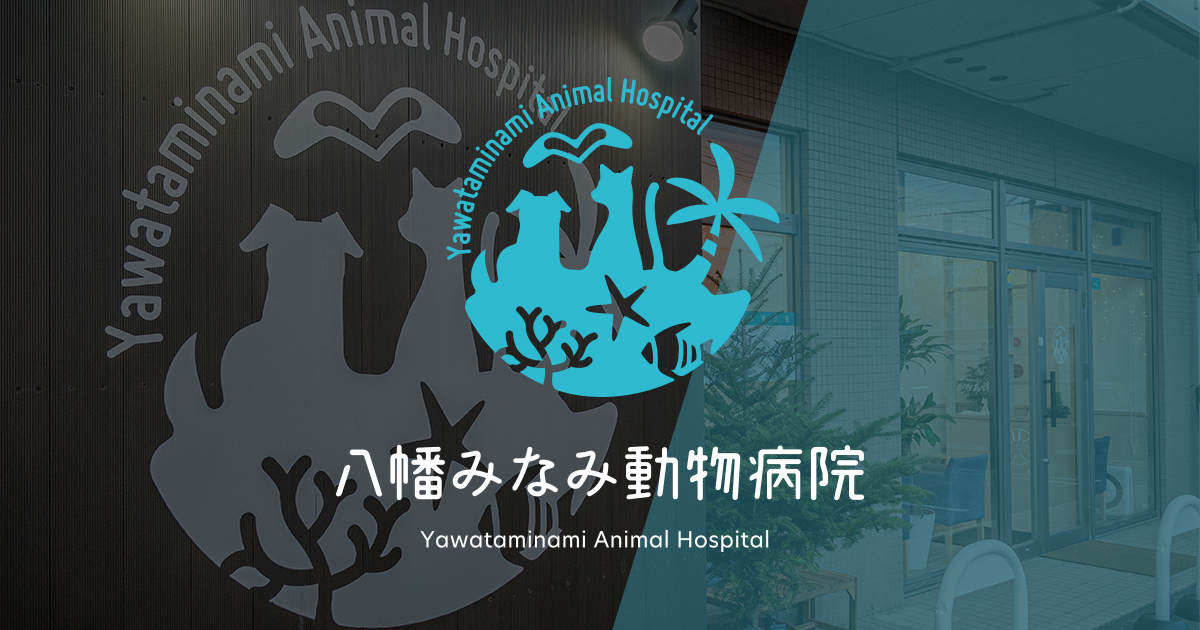医療コラム｜市川市大和田の動物病院・ペットホテル│八幡みなみ動物病院