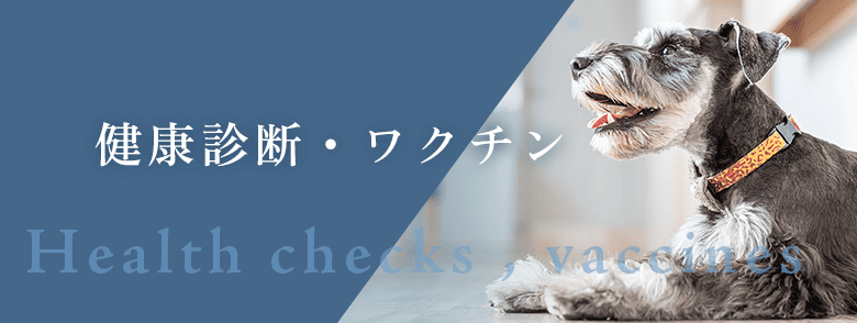 健康診断・ワクチン