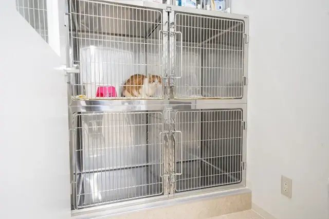 猫専用入院室