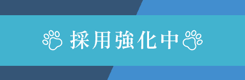 採用強化中