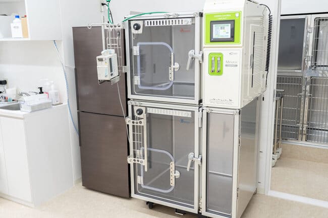 動物用ICU