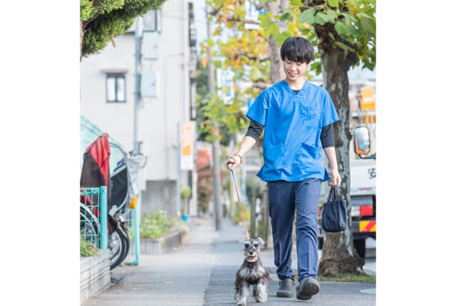 ペットホテル